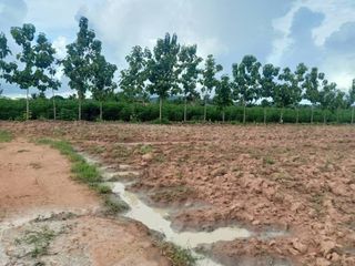 For sale land in Chom Bueng, Ratchaburi