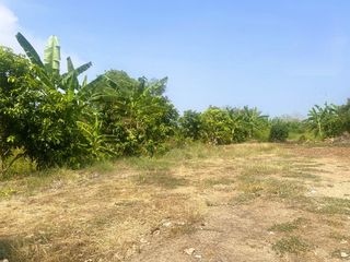 For sale land in Nong Suea, Pathum Thani