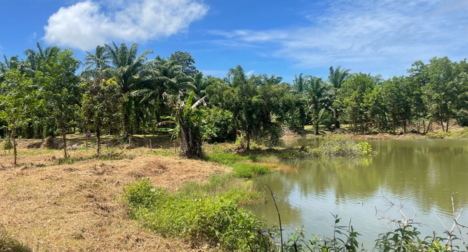 Grundstück zum Kauf in Takua Pa, Phang Nga