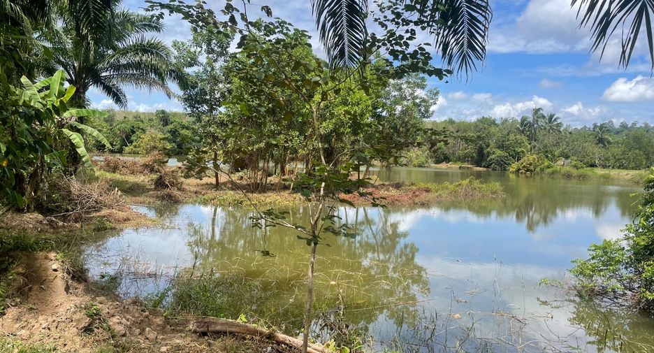 Grundstück zum Kauf in Takua Pa, Phang Nga