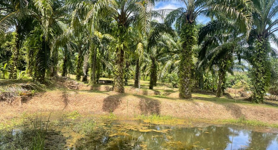 Grundstück zum Kauf in Takua Pa, Phang Nga