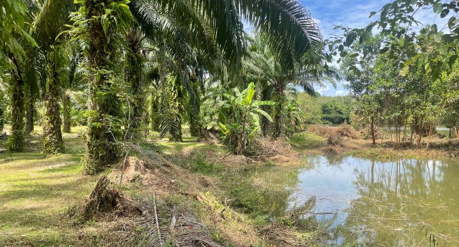 Grundstück zum Kauf in Takua Pa, Phang Nga