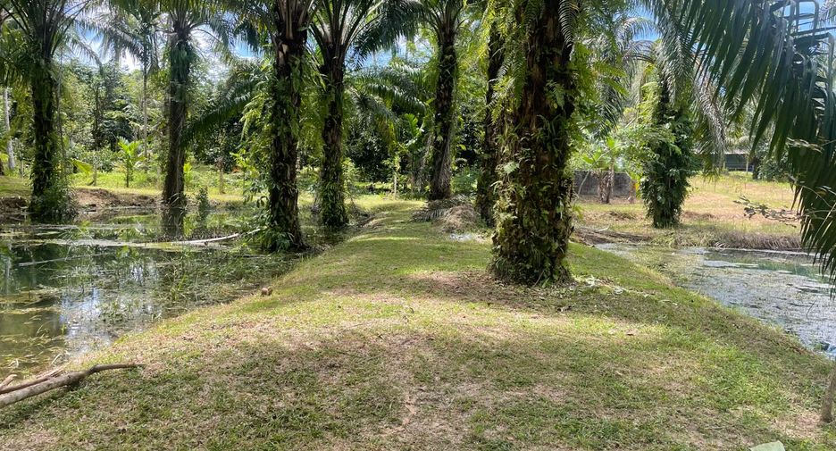 Grundstück zum Kauf in Takua Pa, Phang Nga