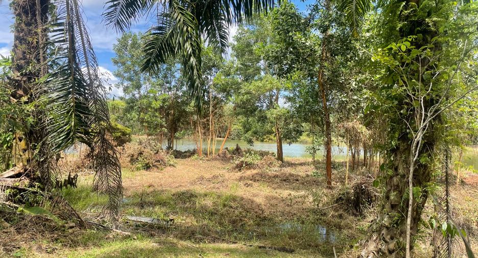 Grundstück zum Kauf in Takua Pa, Phang Nga