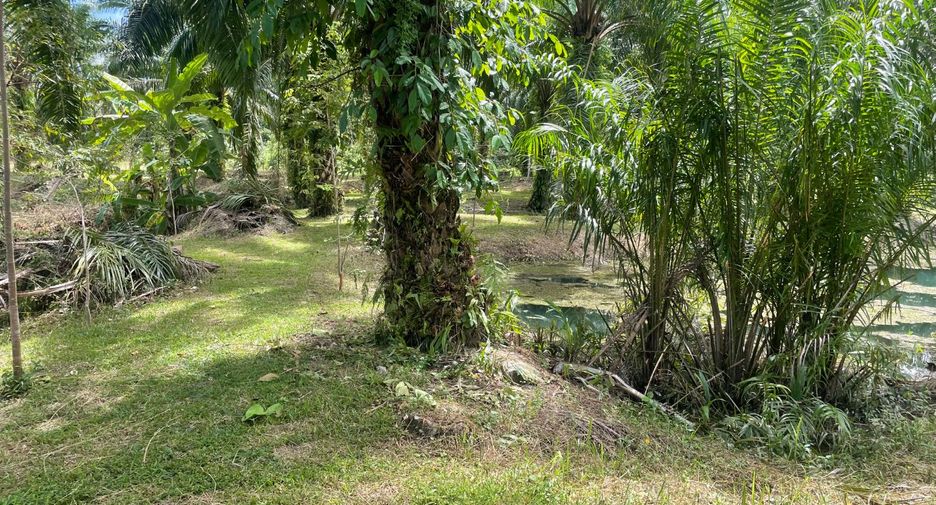 Grundstück zum Kauf in Takua Pa, Phang Nga