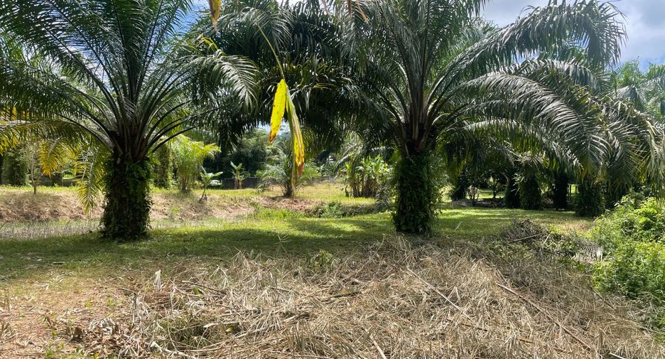 Grundstück zum Kauf in Takua Pa, Phang Nga