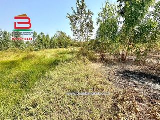 For sale land in Lat Bua Luang, Phra Nakhon Si Ayutthaya