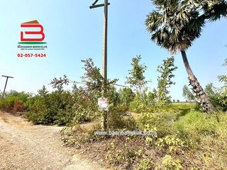 For sale land in Lat Bua Luang, Phra Nakhon Si Ayutthaya