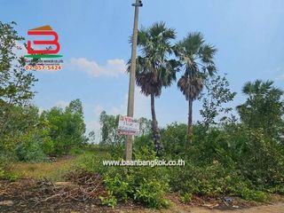 ขาย ที่ดิน ใน ลาดบัวหลวง, พระนครศรีอยุธยา