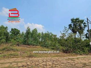 ขาย ที่ดิน ใน ลาดบัวหลวง, พระนครศรีอยุธยา