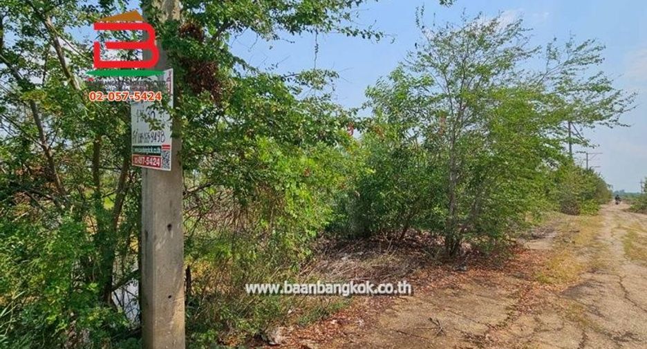 ขาย ที่ดิน ใน ลาดบัวหลวง, พระนครศรีอยุธยา