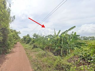 For sale land in Phran Kratai, Kamphaeng Phet