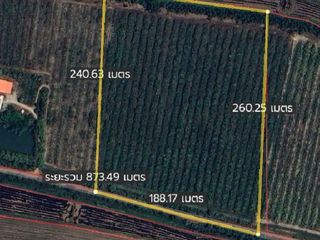 For sale land in Phran Kratai, Kamphaeng Phet