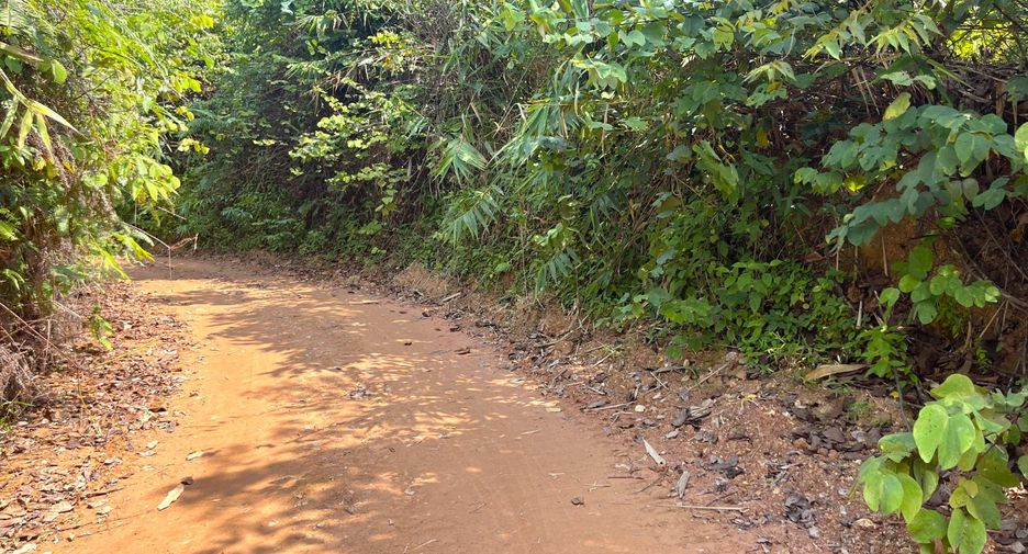 For sale land in Takua Thung, Phang Nga