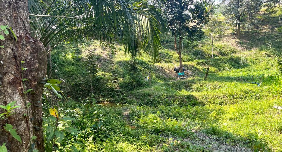 For sale land in Takua Thung, Phang Nga