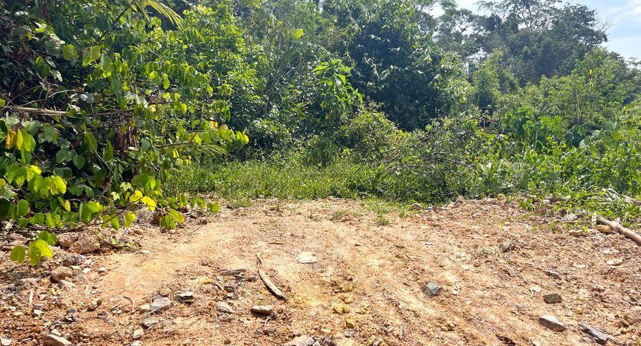 For sale land in Takua Thung, Phang Nga