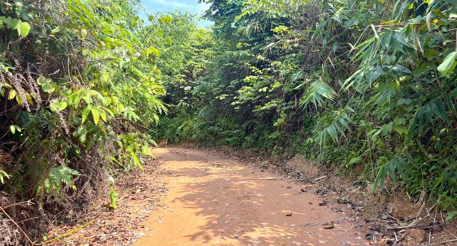 For sale land in Takua Thung, Phang Nga