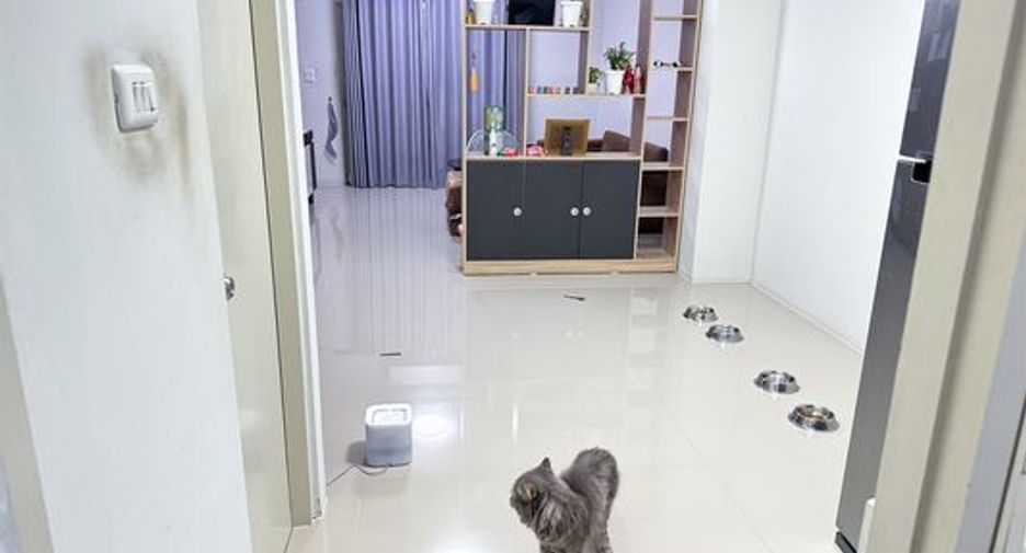 For sale 3 bedrooms townhouse in Phan Thong, Chonburi