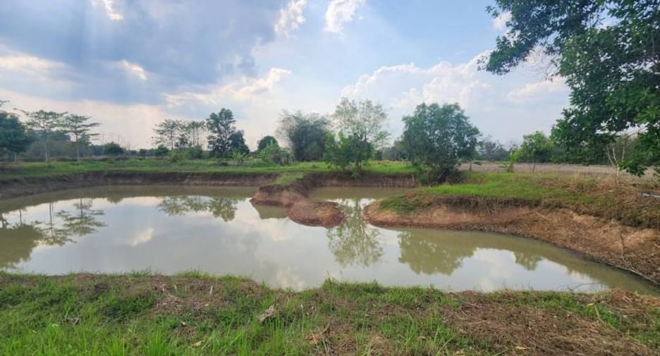 Terreno en venta en Pak Phli, Nakhon Nayok