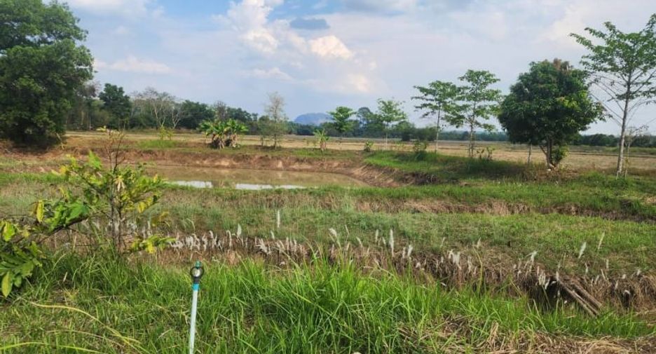 Terreno en venta en Pak Phli, Nakhon Nayok