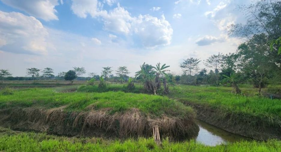 Terreno en venta en Pak Phli, Nakhon Nayok