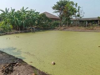 Grundstück zum Kauf in Krathum Baen, Samut Sakhon