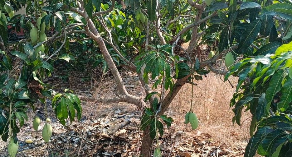 Terreno en venta en Krathum Baen, Samut Sakhon