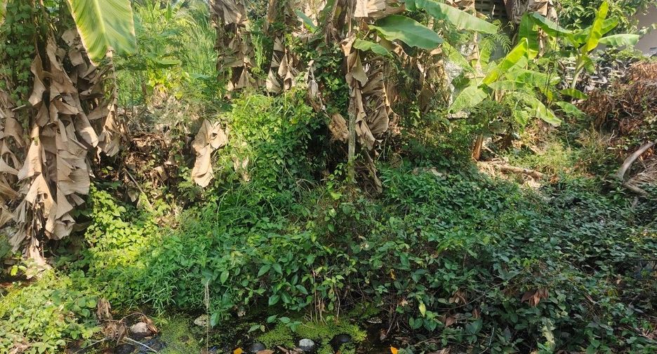 Terreno en venta en Krathum Baen, Samut Sakhon
