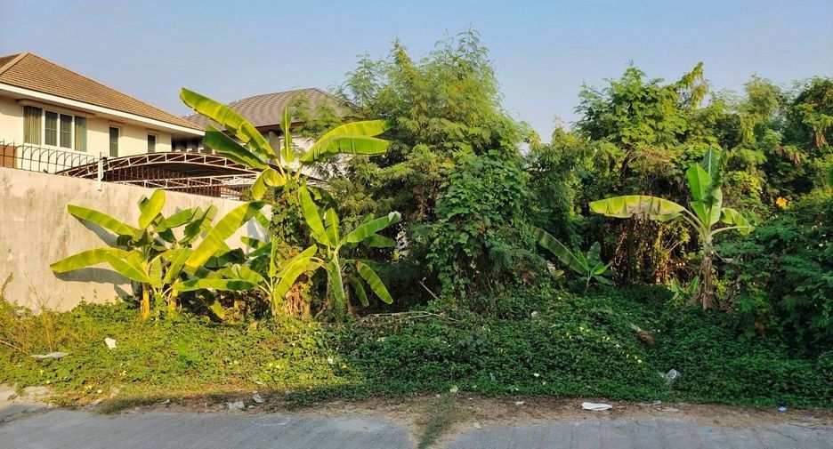 For sale land in Phasi Charoen, Bangkok