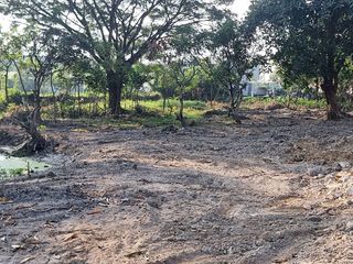 For rent and for sale land in Doi Saket, Chiang Mai