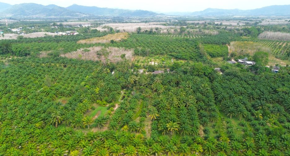 For sale land in Thai Mueang, Phang Nga