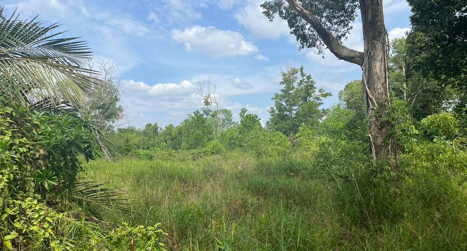For sale land in Thai Mueang, Phang Nga