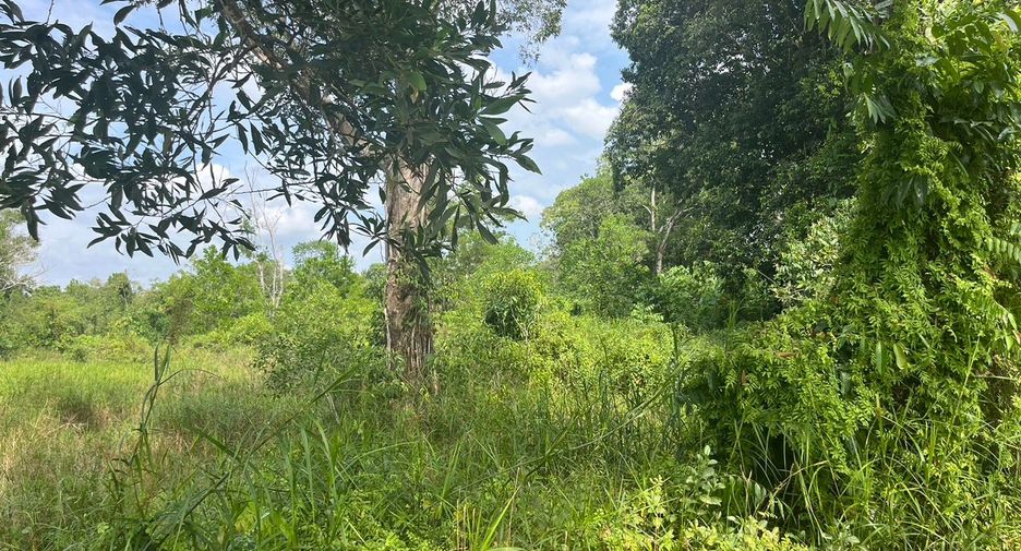 For sale land in Thai Mueang, Phang Nga