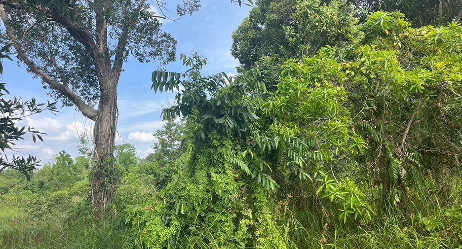 For sale land in Thai Mueang, Phang Nga