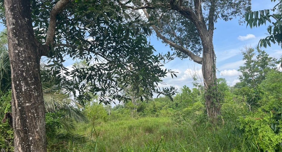 For sale land in Thai Mueang, Phang Nga