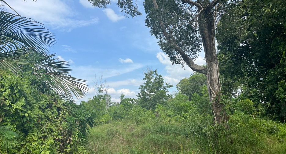For sale land in Thai Mueang, Phang Nga