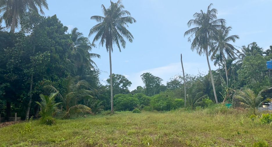 For sale land in Thai Mueang, Phang Nga