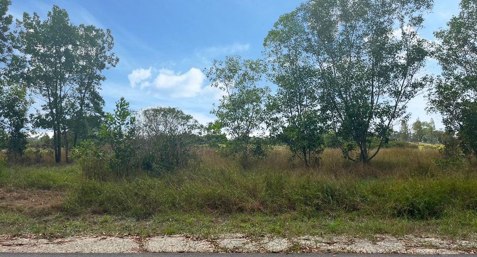 For sale land in Thai Mueang, Phang Nga