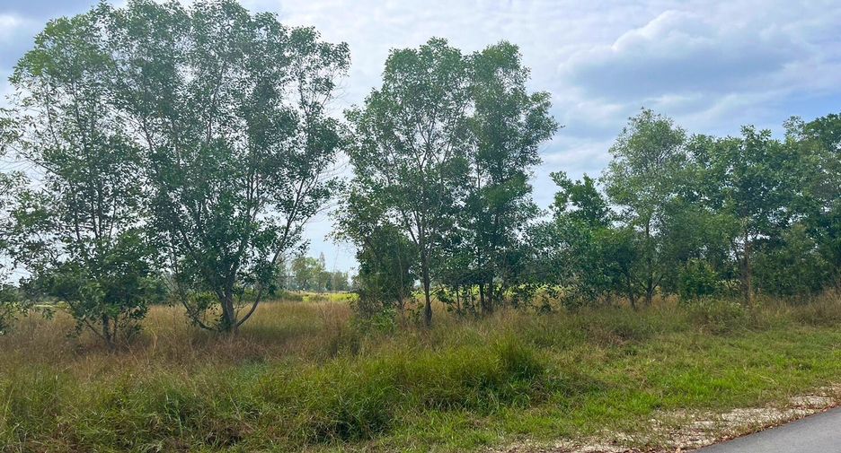 For sale land in Thai Mueang, Phang Nga