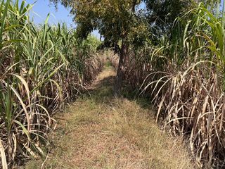 For sale land in U Thong, Suphan Buri