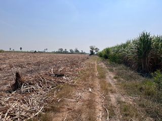 For sale land in U Thong, Suphan Buri