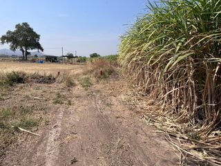 For sale land in U Thong, Suphan Buri