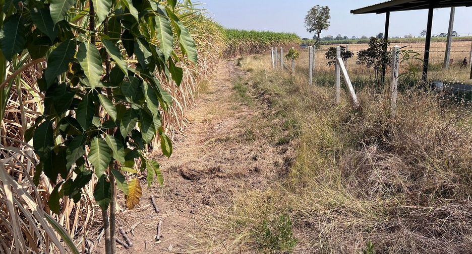 For sale land in U Thong, Suphan Buri