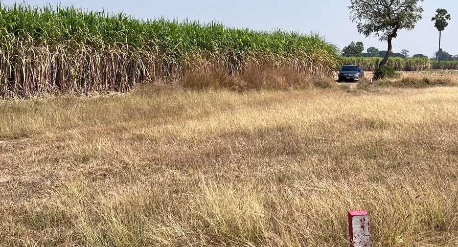 For sale land in U Thong, Suphan Buri
