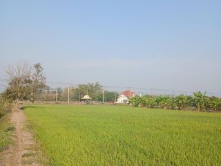 For sale land in Ban Mi, Lopburi