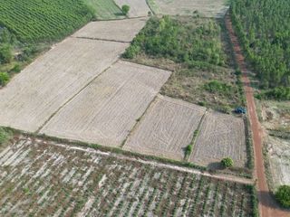 For sale land in Si Mahosot, Prachin Buri