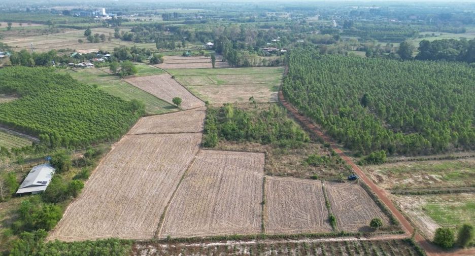 For sale land in Si Mahosot, Prachin Buri