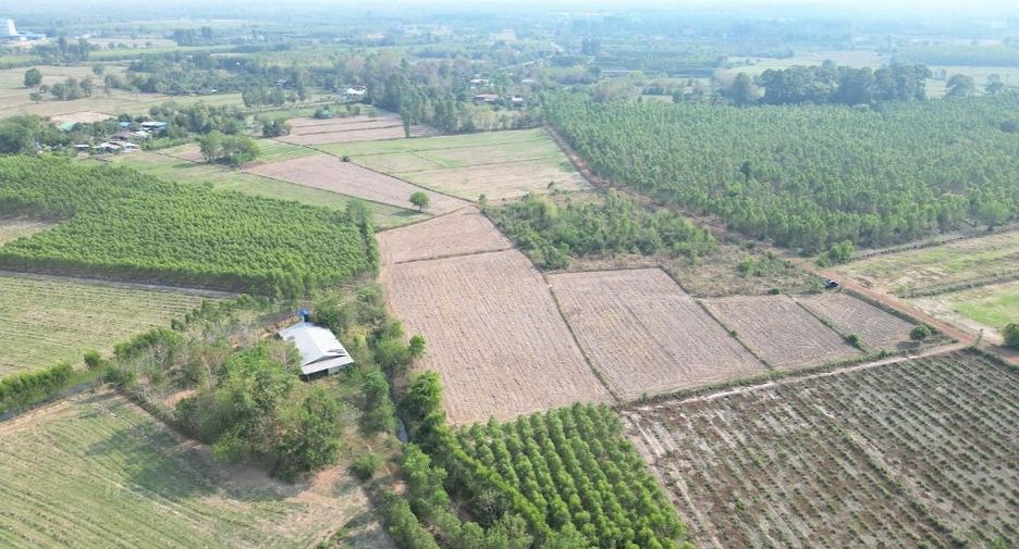 For sale land in Si Mahosot, Prachin Buri