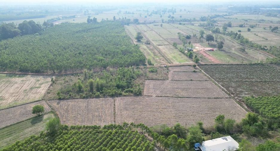 For sale land in Si Mahosot, Prachin Buri