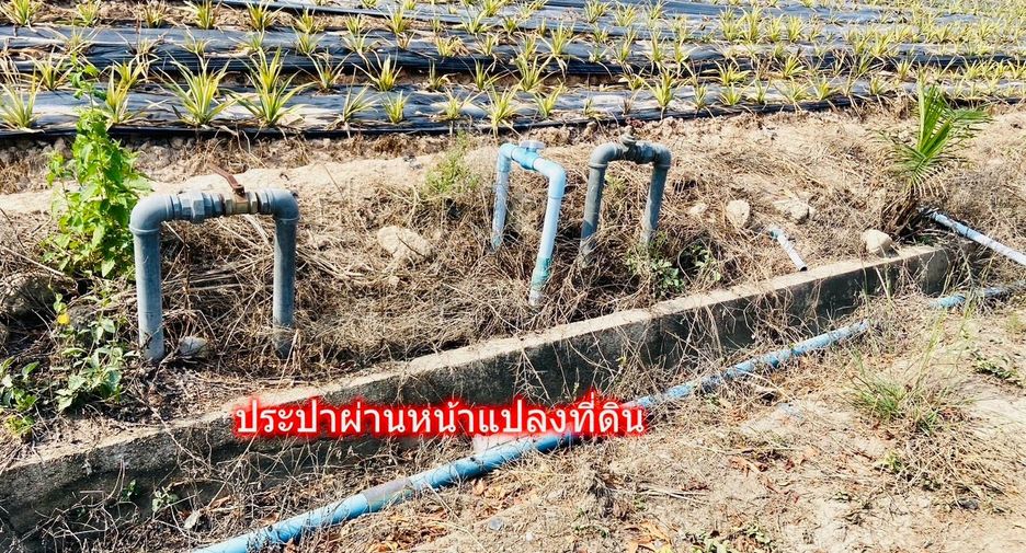 For sale land in Pluak Daeng, Rayong